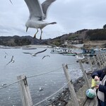 かき小屋　唐桑番屋 - 