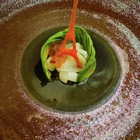 ザ・レギャン・トーキョー - 朝露