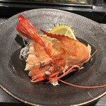 しゃりきゅう - 