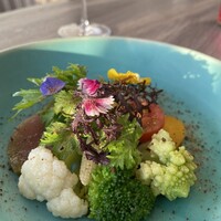 THE HARBOR TERRACE Restaurant - 