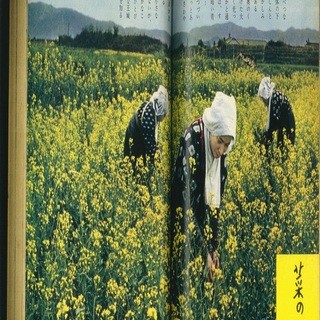 加藤順漬物店_2