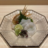 THE SUSHI GINZA 極 - 
