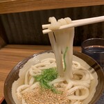 本場さぬきうどん 親父の製麺所 - かけうどん