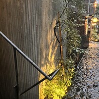 ミモザ - 