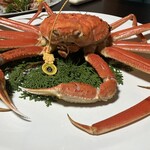 玉島荘 - 