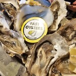 FAST OYSTERS - 