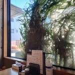 やぶ善 - 玄関は不動通り商店街に面しています。