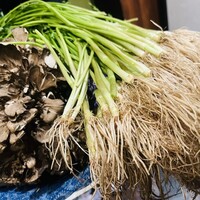 霞町三◯一ノ一 - 三関の根セリと舞茸！足りなければ追加で食べさせてくれる。
