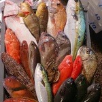 Directly from the production area. Local fish from the Goto Islands caught in the morning