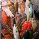 にぎにぎ一　西荻別館 - 五島列島から朝漁れの魚が届きます。