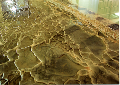 ONSEN食堂（オンセンショクドウ） - 札幌市南区その他（インド料理）の写真