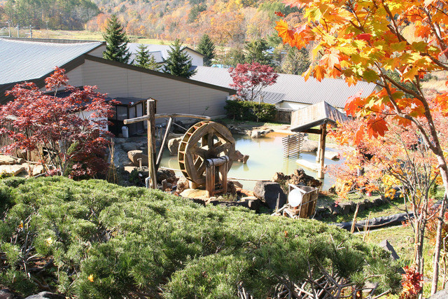 ONSEN食堂（オンセンショクドウ） - 札幌市南区その他（インド料理）の写真