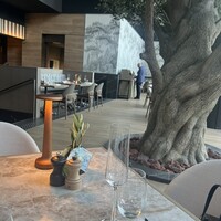 ジャヌ メルカート - 