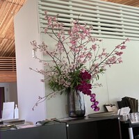 TEIEN Restaurant comodo - 