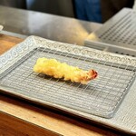 Tempura Shunsai Yuan - 