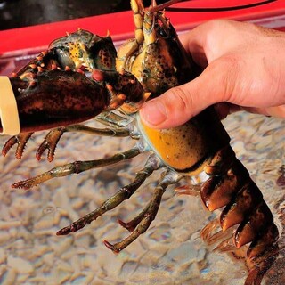 活海老バル orb_0