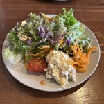 VERSATILE - 前菜サラダ