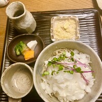 九つ井 玉川店 - おろし蕎麦
