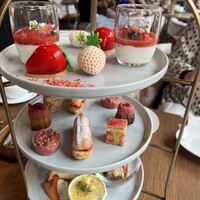 MAIN DINING sereno(THE MARK GRAND HOTEL) - 