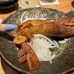 Robata Souteigai - 大赤海老の醤油漬け