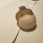 レフェルヴェソンス - 