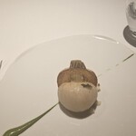 レフェルヴェソンス - 