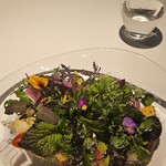 レフェルヴェソンス - 