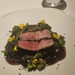 レフェルヴェソンス - 