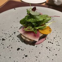 ARMONICO - 