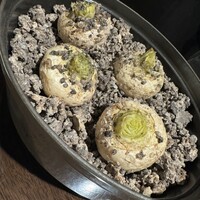 デンクシフロリ - 