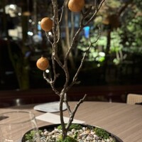 イノベーティブ フレンチ ワタハン - 