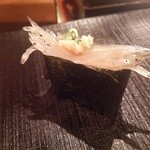 鮨 波やし - 白魚