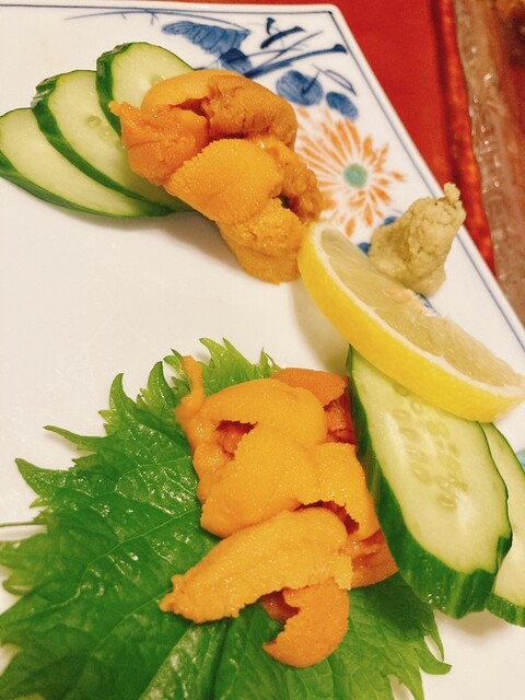 Sanchika Sakamoto photo 5