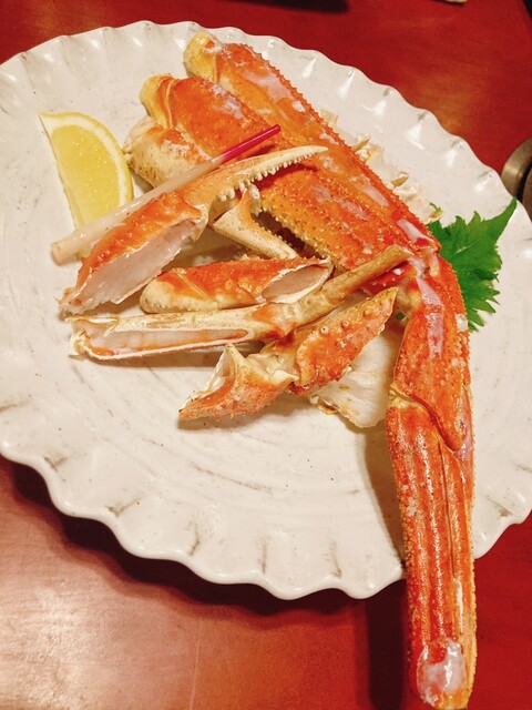 Sanchika Sakamoto photo 2