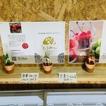 にいがたや大阪たこ焼き - 