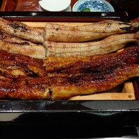 にょろ助 銀座 - 