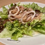 Kapurichozatomatoandogarikku - イカとツナのサラダ