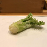 Tempura Miyashiro - 