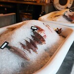 Stiltsville Fish Bar - 料理写真: