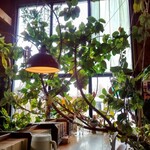 コーヒーハウス ヴィレッジ - 