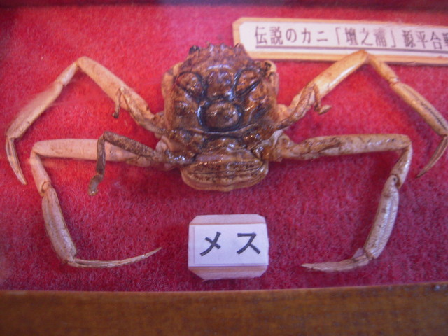 神戸っ子にとっては特別な思いのある店 By ｔｏｍｏｓｅｉｐａｐａ リニューアル 敦盛そば 須磨浦公園 そば 食べログ
