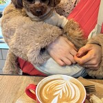 バイロンベイ コーヒー - 