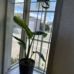 CAFE&BURGER HAMBELL - 