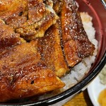 うなぎ料理 はし家 - 特上うなぎ丼(3,300円)