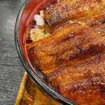 うなぎ料理 はし家 - 特上うなぎ丼(3,300円)