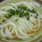 純手打ち讃岐うどん 綾 - ひやあつうどん(大) ４５０円也