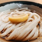 Sanuki Udon Meriken Y - 