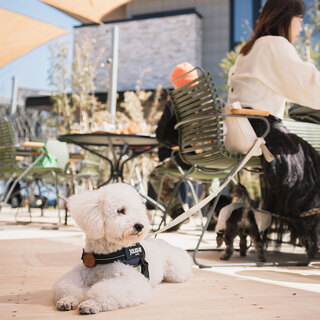 居心地の良い空間演出◆ペット同伴OKのテラス席も完備