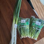 アグリマルシェはるひ - 購入のお品
