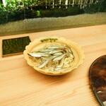 東山 緒方 - 琵琶湖もろこ